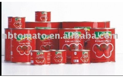 1000g china canned tomato paste