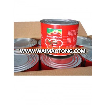 Canned Tomato Paste 2200g in printed tin